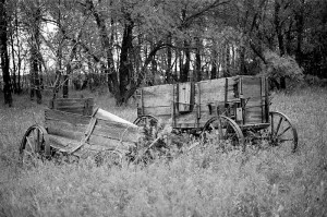 "Wagons Rest"