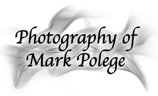 Photography of Mark Polege